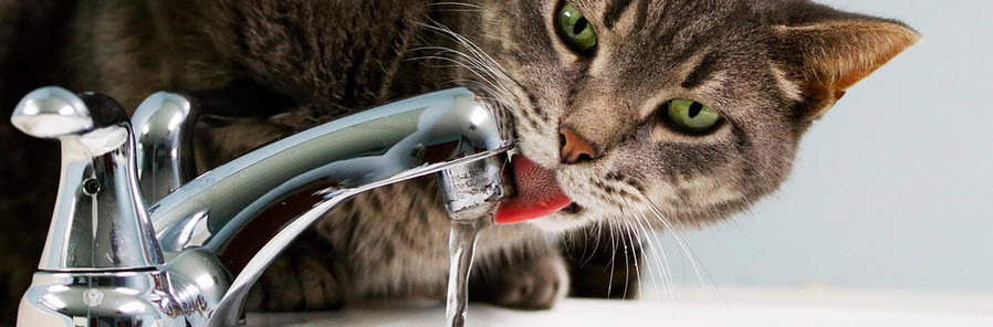 zmiękczacze wody Kraków